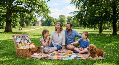 A relaxing family picnic experience in the countryside