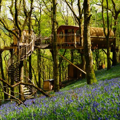 Two Night Tree House Escape for Two