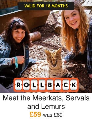 Meet the Meerkats, Servals & Lemurs £59 save £69