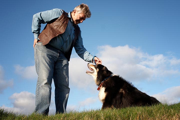 One Man & His Dog