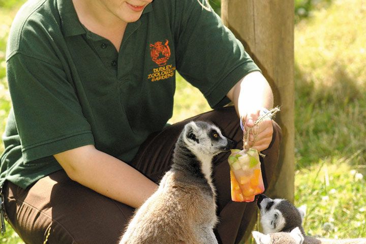 Family Entrance to Dudley Zoo