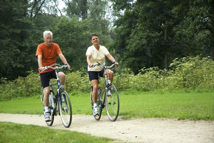 Hampton Court Bike Tour for 2