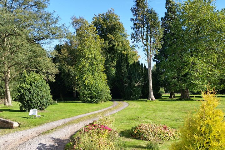 Champagne Afternoon Tea for Two at The Haughton Hall Hotel