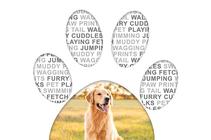 Personalised Pet Memories