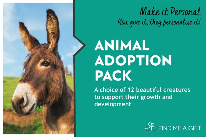 Animal Adoption