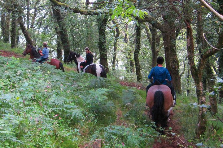 Exmoor Two Night Escape for Two