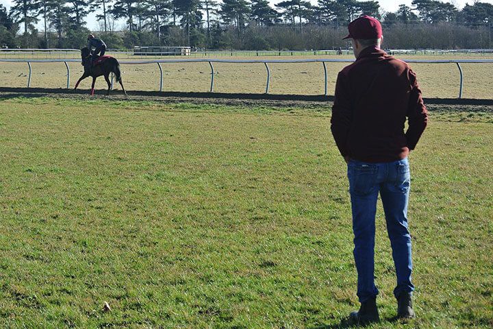 Harraton Court Stables Tour with Darryll Holland