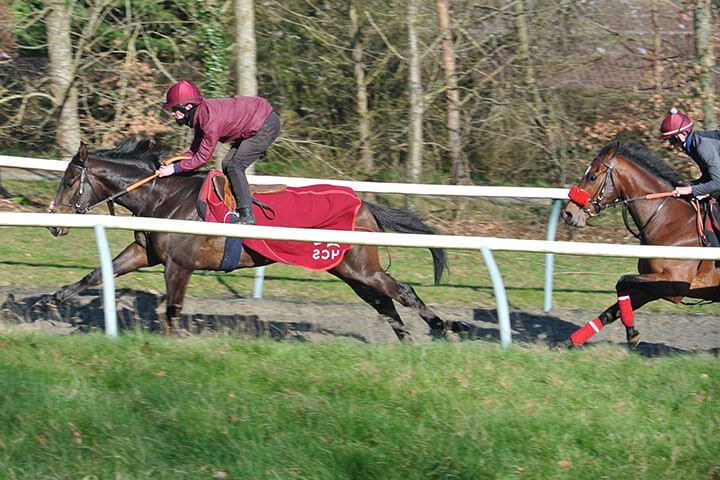 Harraton Court Stables Tour with Darryll Holland