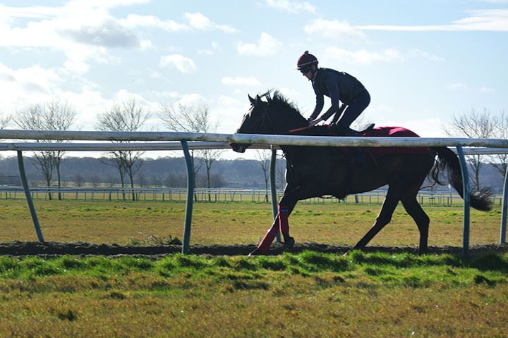 Harraton Court Stables Tour with Darryll Holland