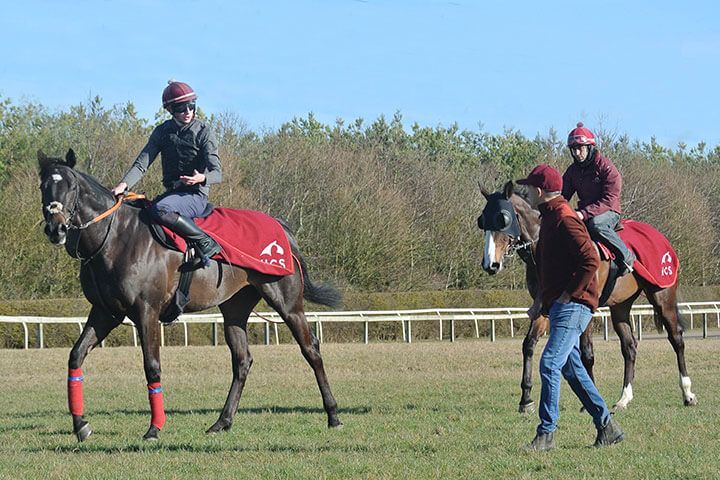 Harraton Court Stables Tour with Darryll Holland