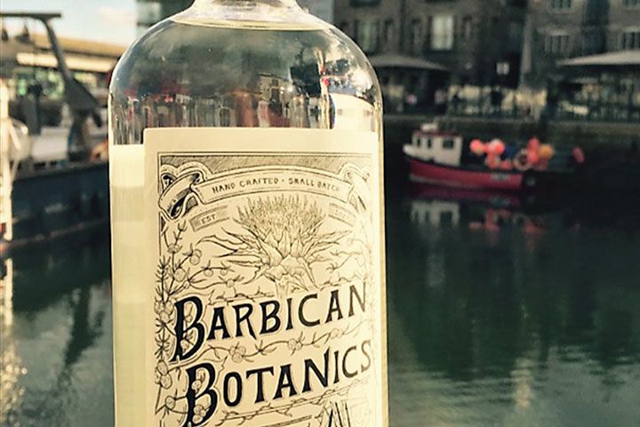 Gin Room Connoisseur Masterclass for Two at Barbican Botanics