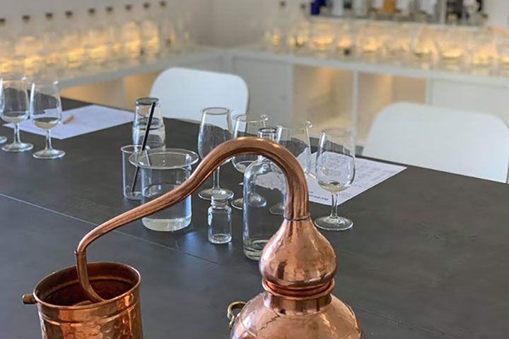 Premium Gin Room Connoisseur Masterclass for Two at Barbican Botanics