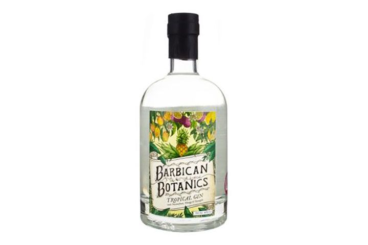 Premium Gin Room Connoisseur Masterclass for Two at Barbican Botanics