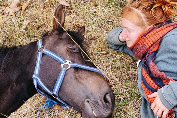 Meditation with Horses for Two in the Lake District