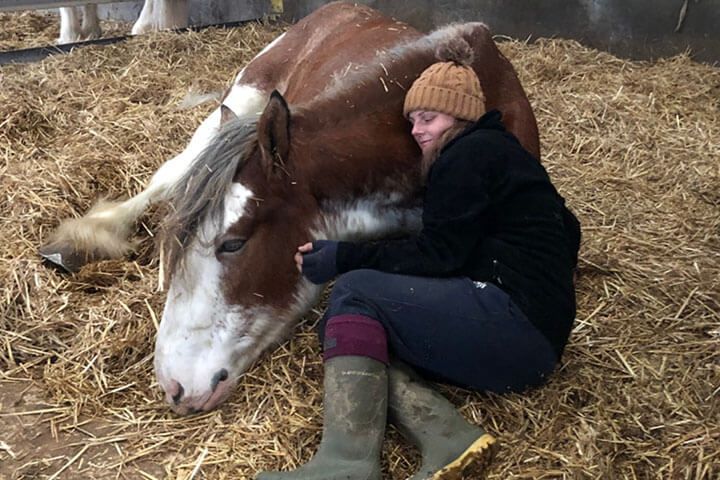 Meditation with Horses for Two in the Lake District