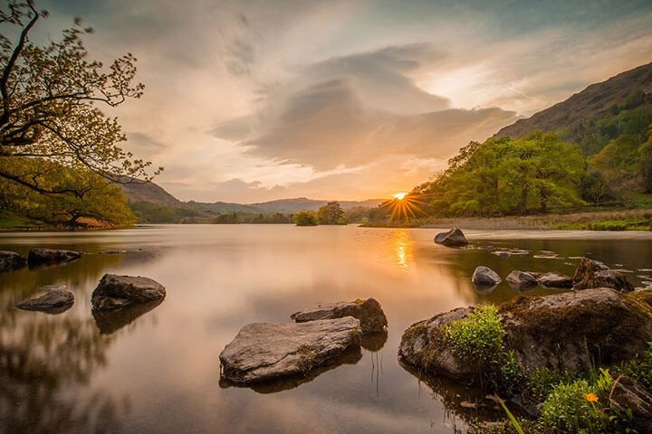 Meditation with Horses for Two in the Lake District