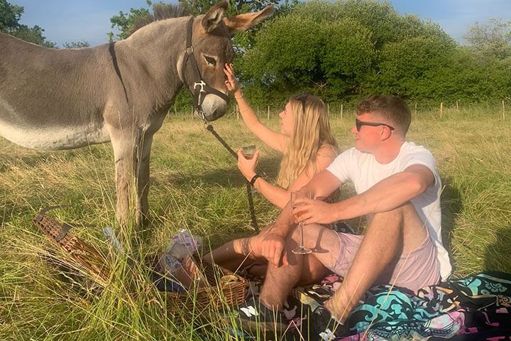 Donkey Picnic for Four at Dashing Donkeys 