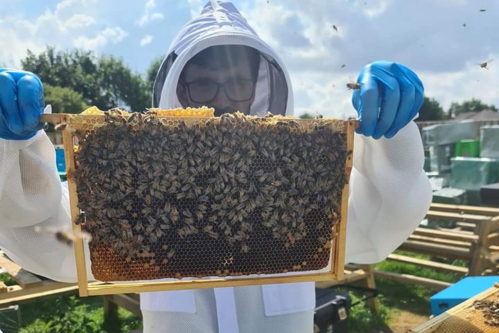 Full Day Beekeeping Experience at More Bees Please