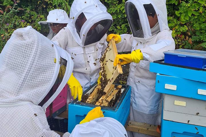 Half Day Beekeeping Experience For Two at More Bees Please 