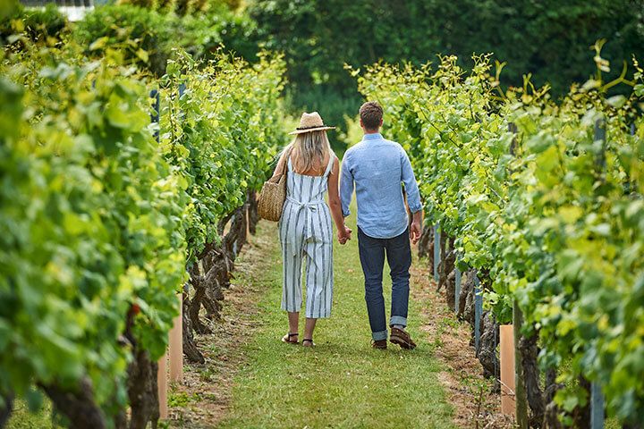 Tour and Tasting for Two at Chapel Down Vineyard