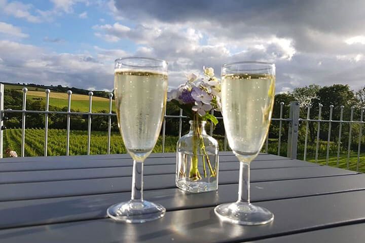 Tour and Tasting for Two at The Velfrey Vineyard