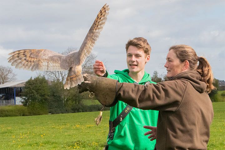 Bird Photography Experience 