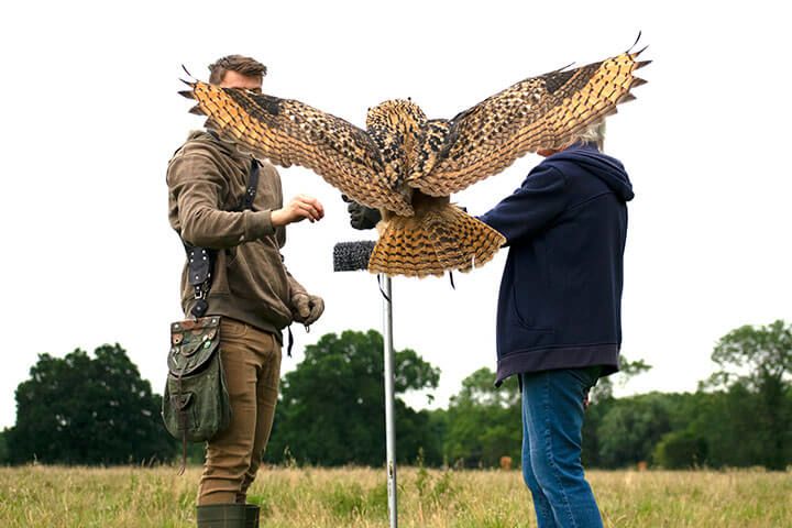 Bird Photography Experience 