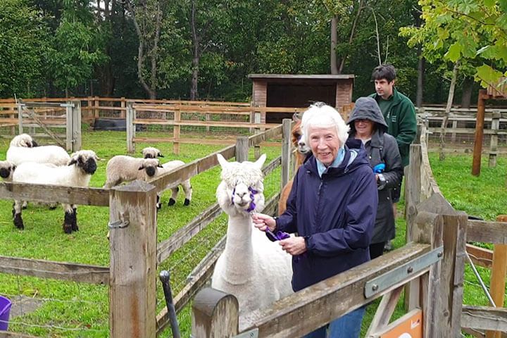 Family Meet & Greet with the Alpacas 