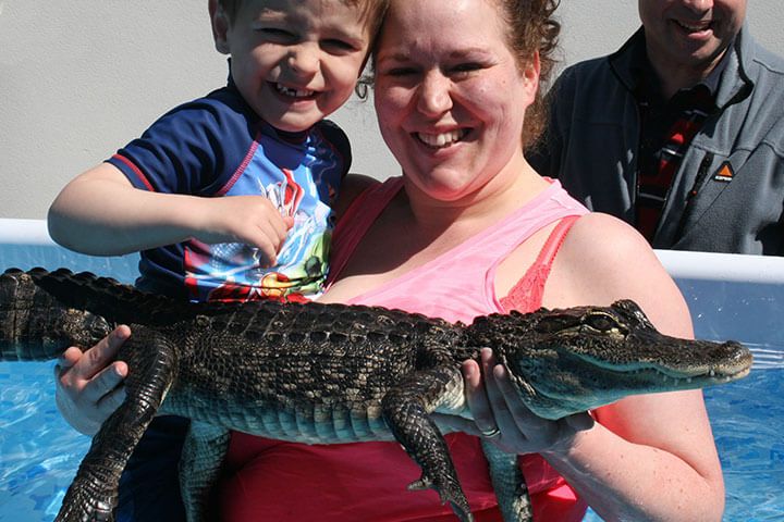 Swimming with the Crocodiles for a Family of Four