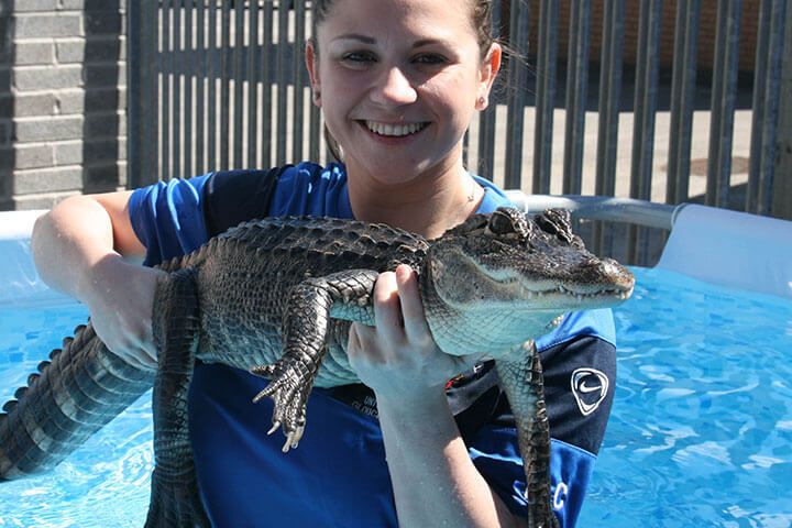 Swimming with the Crocodiles for Two & Lunch