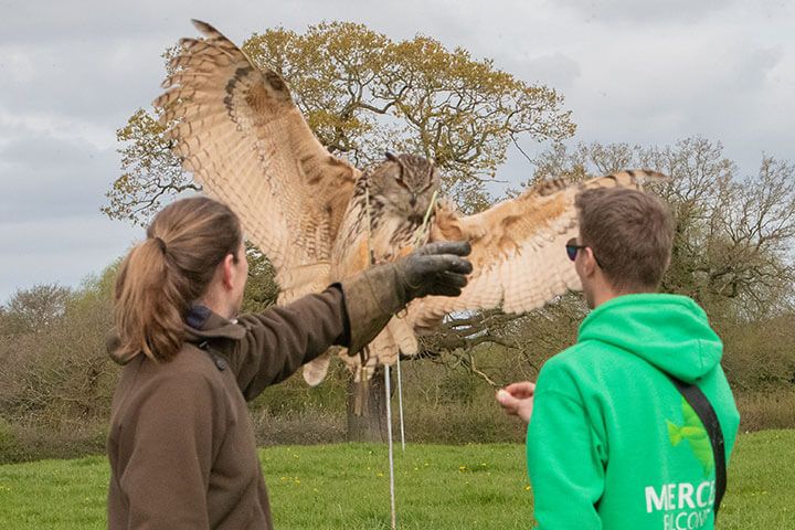 Animal Encounters & Experiences