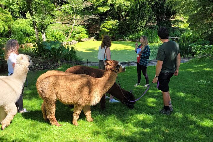 Animal Encounters & Experiences