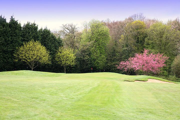 Sparkling Afternoon Tea for Two at Shendish Manor Hotel