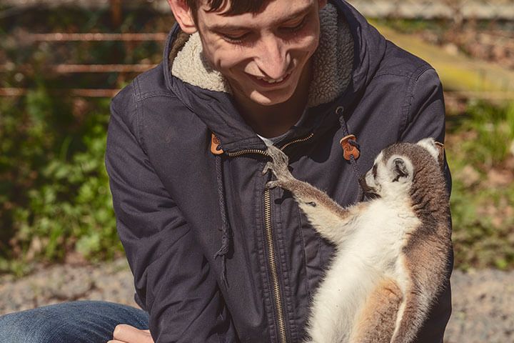 Meerkat and Lemur Experience for Two