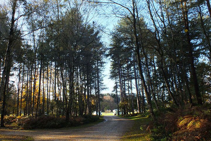 Two Night Family Glamping Pod Escape at Sherwood Forest