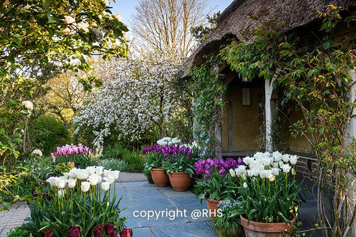 Entrance to The RHS Gardens for Two