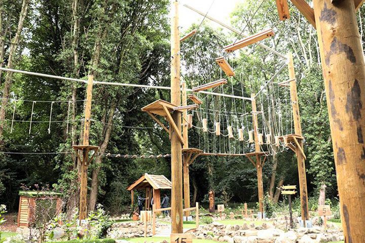 High Ropes and Zip Wire for Four