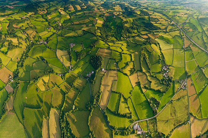 Wild Pig Hot Air Balloon Flight with Champagne - Weekday for Two People