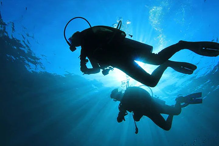 Discover Scuba Diving for One