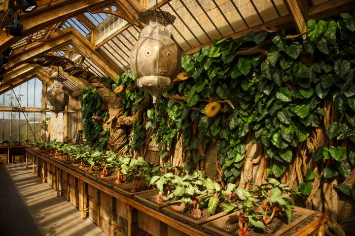 Warner Bros. Studio Tour London & Two Course Lunch for Two
