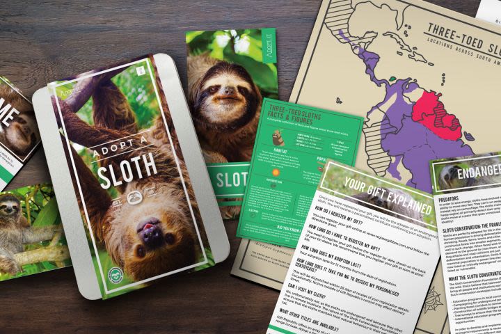 Adopt a Sloth