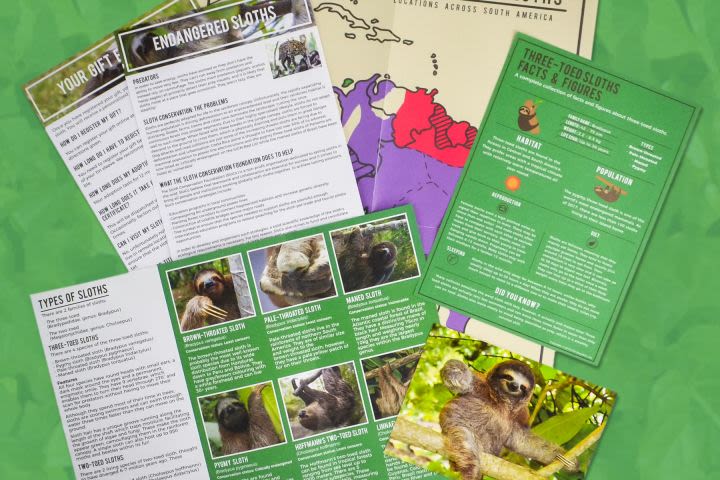 Adopt a Sloth
