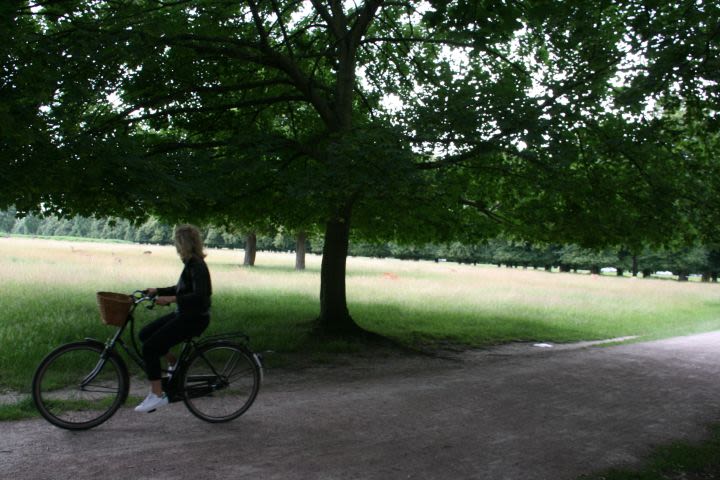 Hampton Court Bike Tour for 2