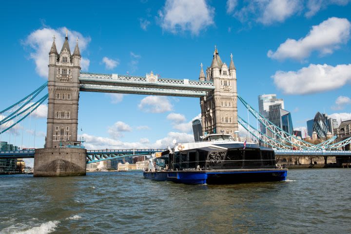 Royal Museum Greenwich Day pass and Hop on Hop off Boat for Two