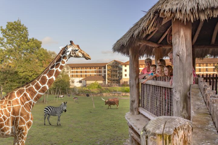 One Day Entrance to Chessington World of Adventures Resort for Two