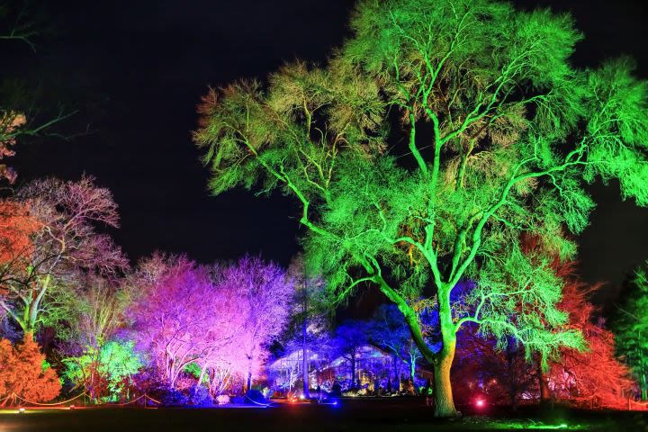 Entrance to RHS Glow at RHS Wisley for Two
