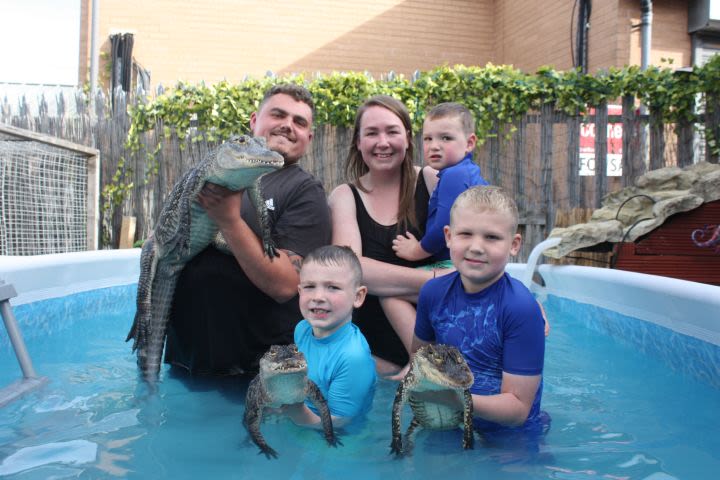 Swim with the Crocodiles for Two