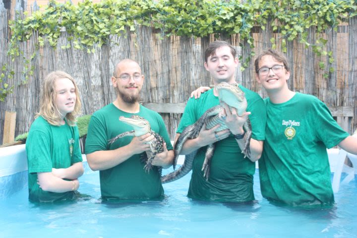 Swim with the Crocodiles for Two