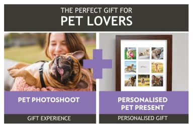 Pet Portrait & Personalised Pet Present