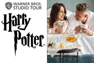 Warner Bros. Studio Tour London for 2 & 2 Night Stay at Shendish Manor